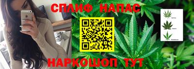 не бодяженный Будённовск