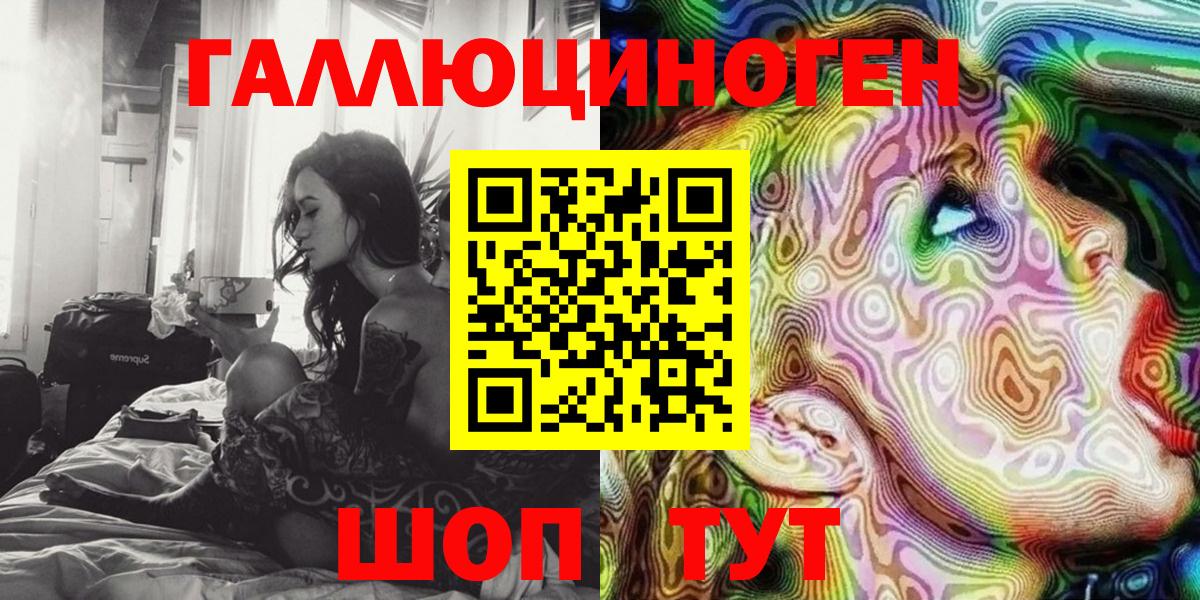 Псилоцибиновые грибы Psilocybe Краснознаменск