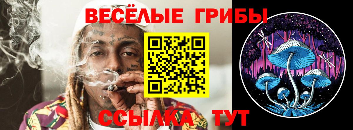Краснознаменск  Псилоцибиновые грибы Cubensis  Псилоцибиновые грибы Cubensis  Вход с VPN 